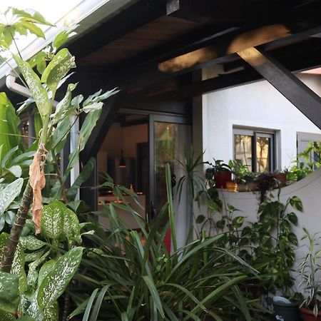 Luxury Cosy Guesthouse Pamplemousses Eksteriør bilde